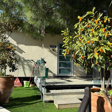 Sofros Valley Hills Chalet Agios Mamas Esterno foto