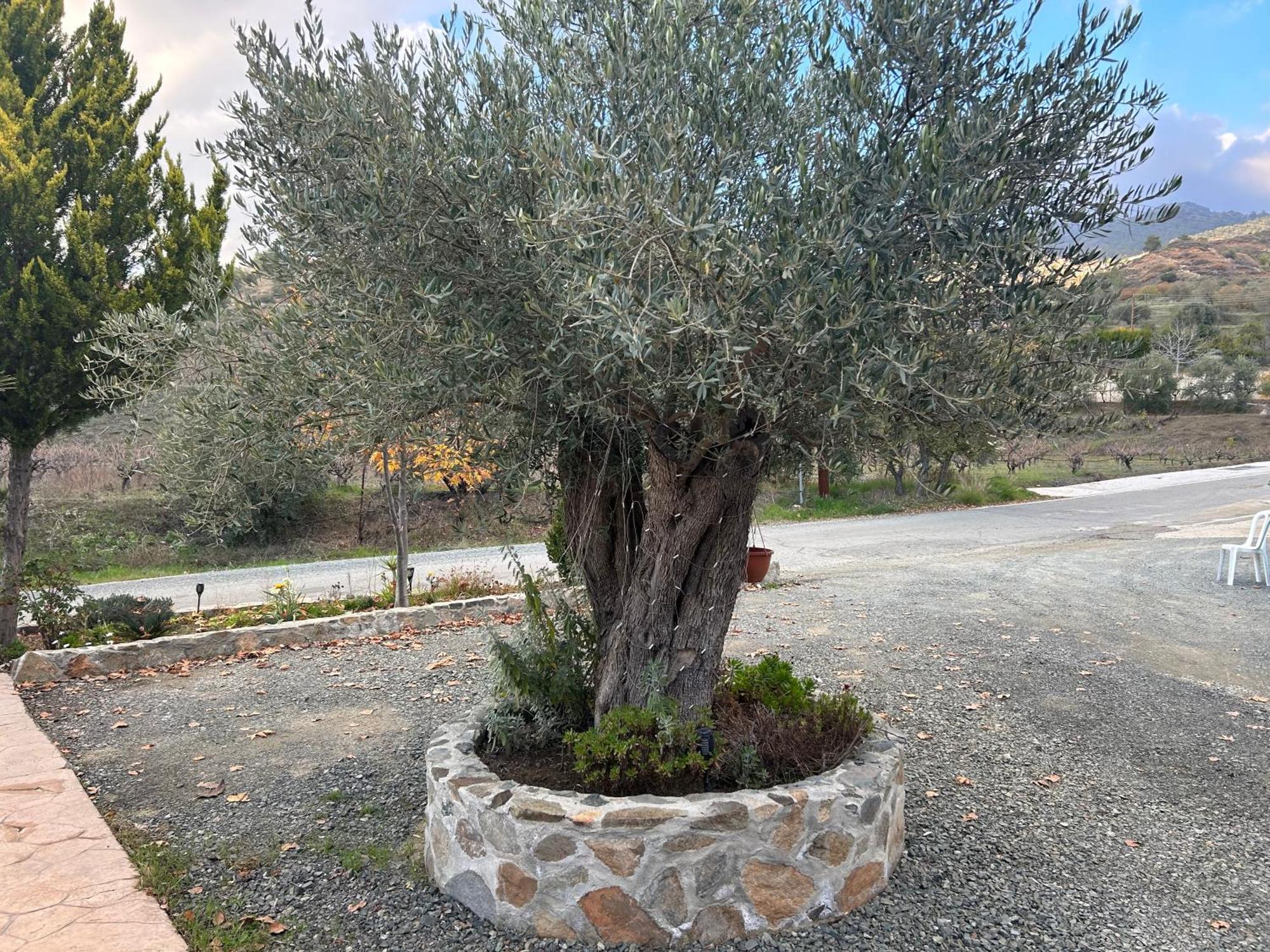 Sofros Valley Hills Chalet Agios Mamas Esterno foto